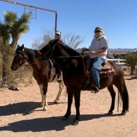 SAMMY Sammy DeFelice