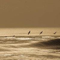 Michael Bowles