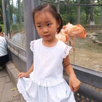 李明峰