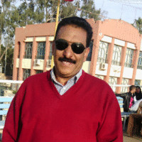 ahmed shebl