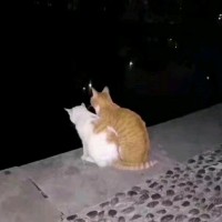 陈宏阳