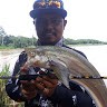 Dian Panatau