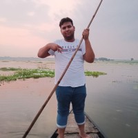 Saiful Sarder