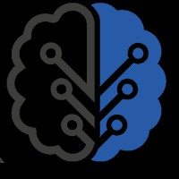 Astrom SpA Business Intelligence