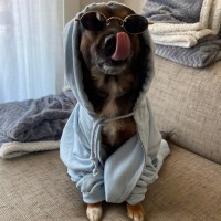 Giulia Zanella - Lindbergh Srl