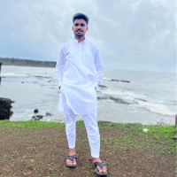 Tauqeer Palnak