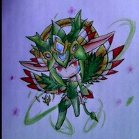 王法华