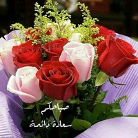 Abdelmajid Elbadia
