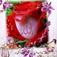 Mohammad Mazahar
