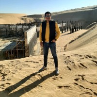Mohamed Hassan