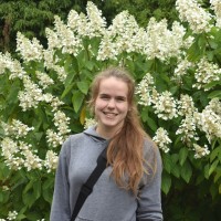 Elsa Guenole-Harrison
