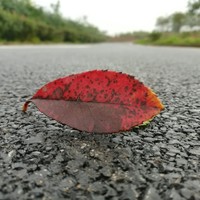 马永国