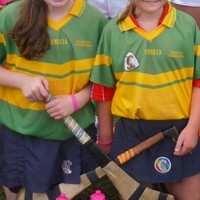 Secretary.Newtownsha Cork.Camogie