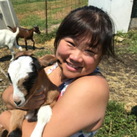 Sandy Chow, MSN FNP-BC ENP-C