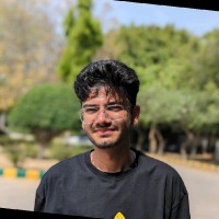 Anshul Roy