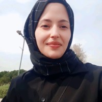Nergis Erdoğan