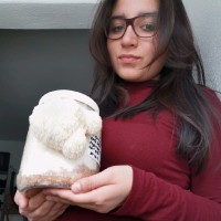 Sandra Rubí Peralta Paredes