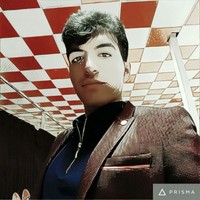 Ehsan Karimi