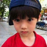 杨春利