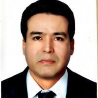 Hamid Rezaei