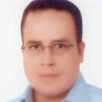 Walid Mobasher