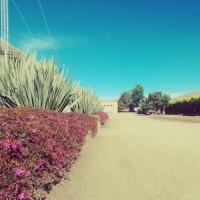 Andersson Burgos Mora