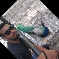 syed muzamil