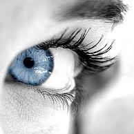 TotaalOogOnderzoek @ Schippers Optiek