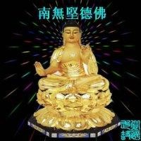蔡秋阳