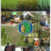 Hugo Oswaldo Batz Choc