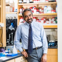 Muhammad Hamid Zaman