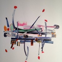 Lauri Rakoff-Chertok