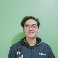 Muhammad Alfin