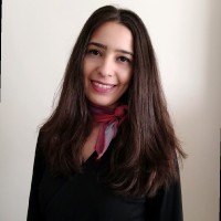 Didem Ozturkler