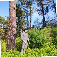 Jesús Alonso Díaz Rincón