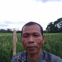 Didi Sunadi