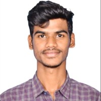 Naveen Romi J