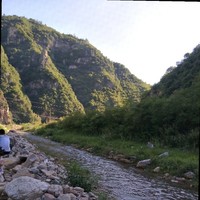张彦军