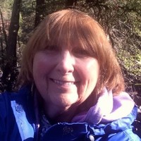 Lisa Hoesing