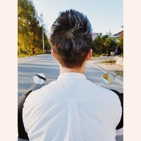 沈伯伦