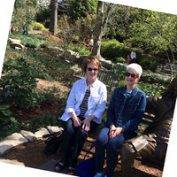 Judy Shafer