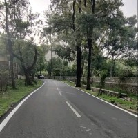 Suthar Himanshu
