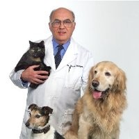 Dr. Steve Tsengas