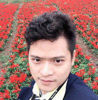 Hoàng Phạm