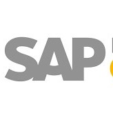 Sap Freelancing