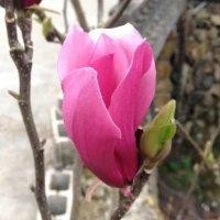 潘建亮