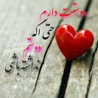 Hamed Mirshahzadeh
