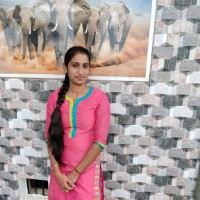 Bindu H S