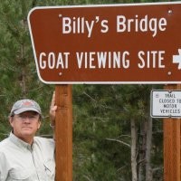 William W Chisholm Jr