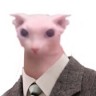 Destiny The Bingus Lover